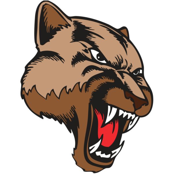 BAW COUG PANTH 11 R Thumbnail